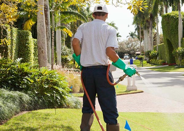 About Pleasant Grove AL Pest Control Pros